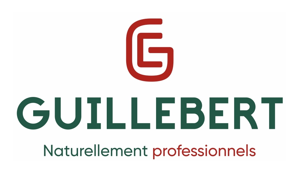 logo chữ g guillebert.