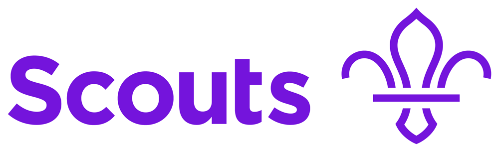logo chữ s scouts