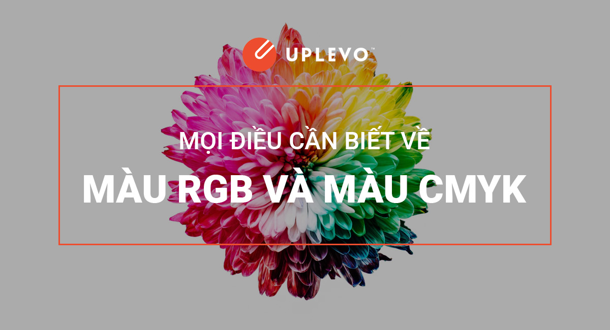 màu rgb và màu cmyk