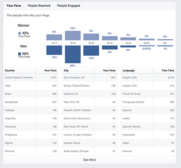 Facebook Insights