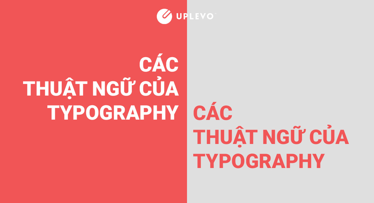 các thuật ngữ quan trọng của typography