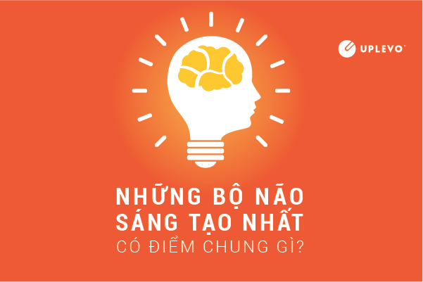 những bộ nào sáng tạo nhất có điểm chung gì