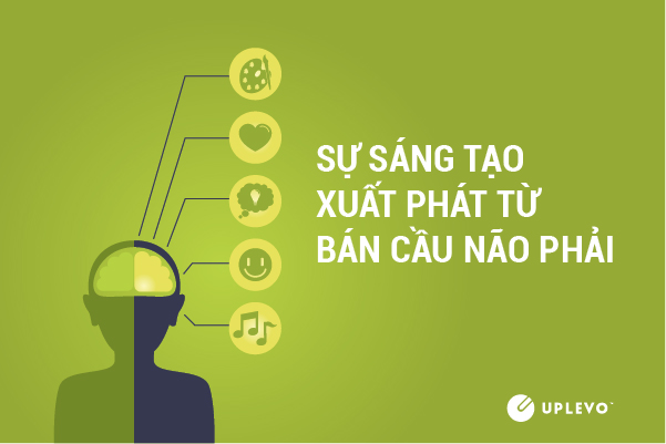 sự sáng tạo xuất phát từ bán cầu não phải ?